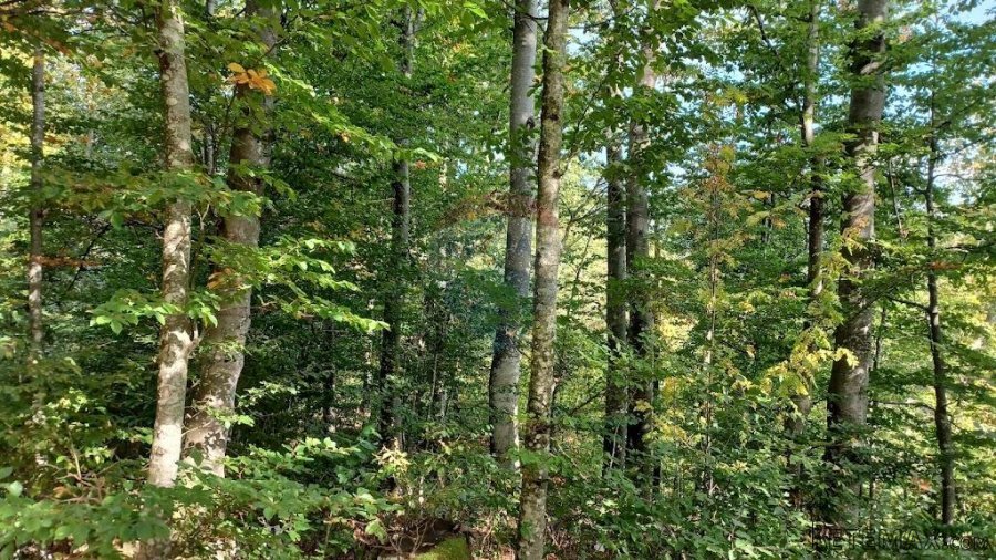 Fužine, Slavica - građevinski teren 4000 m2 - 3