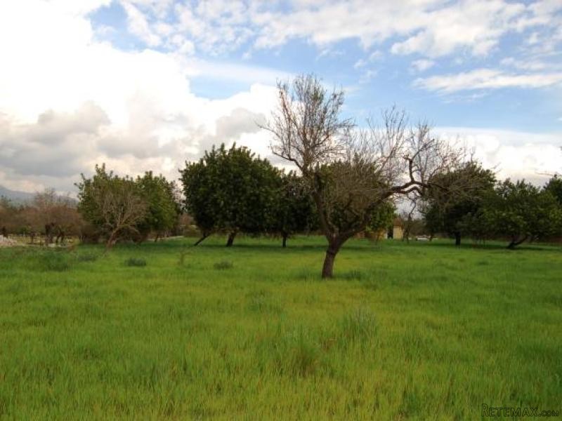 Plot With Beautiful Views In Quiet..
