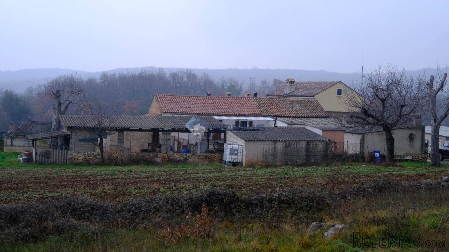 Istra, Bale, 50000m2, šume 24000m2, stara kuća, dvorište - 14
