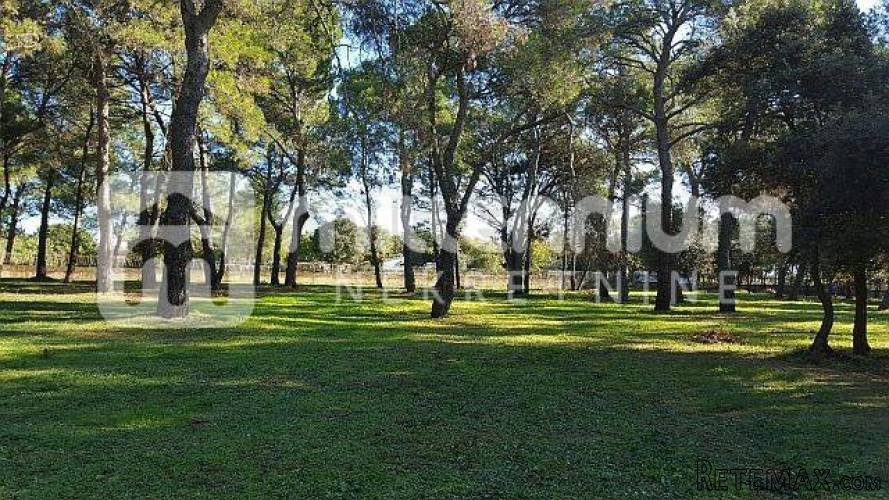 Istra, Rovinj, 12.000m2 atraktivno zemljište idealno za kamp
