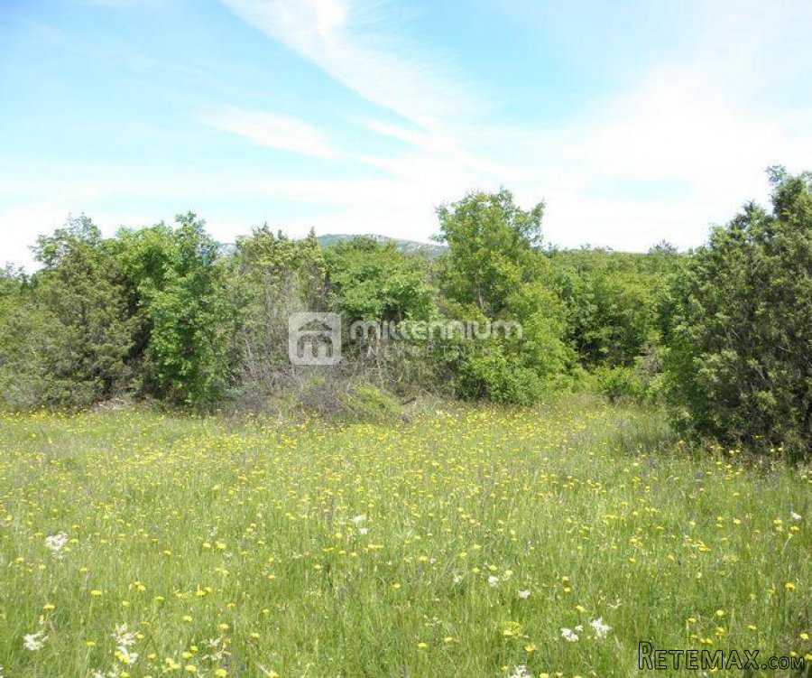 Istra, Sv. Nedelja, poljoprivredno zemljište od 44.000m2