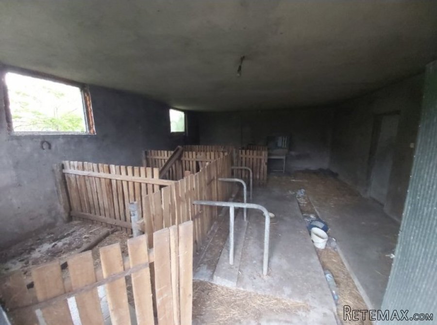 Kuca na prodaju-Topola - 15