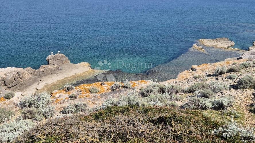 Primošten, maslinik s pogledom na more