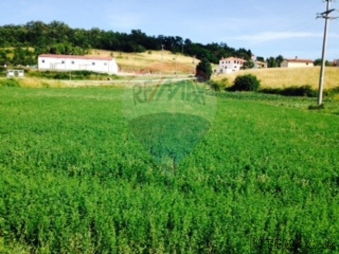 Pazin, Trviž građevinsko stambeno poslovno zemljište - 2