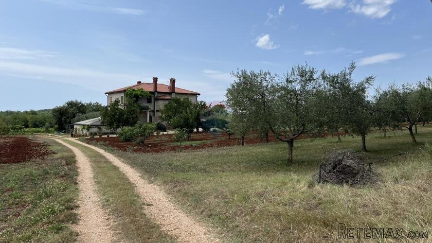 Umag, okolica - Samostojeća kuća na velikoj okućnici od 4 he - 2