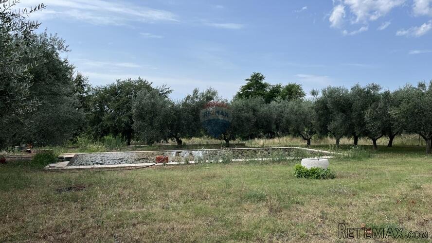 Umag, okolica - Samostojeća kuća na velikoj okućnici od 4 he - 3