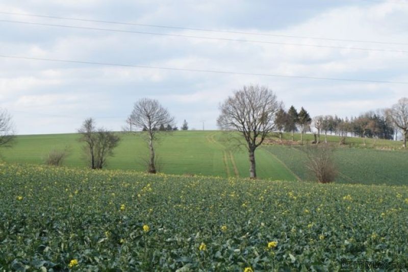 2 Bedroom Longere Cottage For Sale - 2