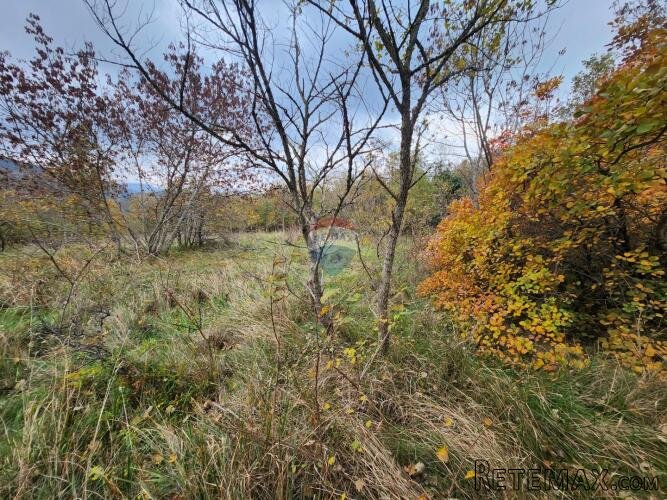 Istra, Buzet Čiritež - 9290m2, poljoprivredno zemljište - 3