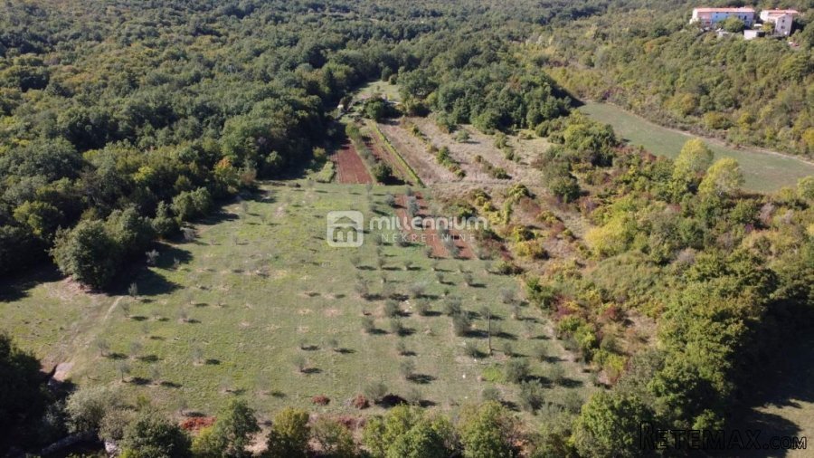 Istra, okolica Labina, imanje od 27.806m2 - 6