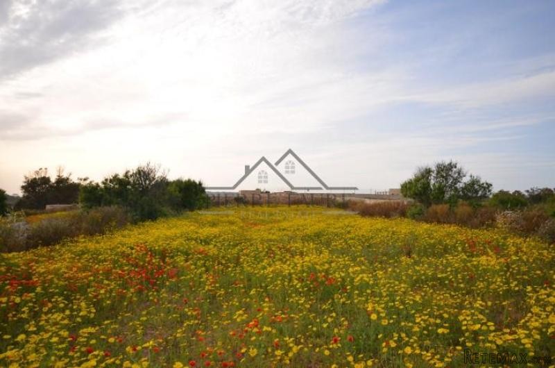 Plot Of Land - Qrendi