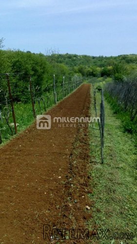 Istra, okolica Labina, imanje od 27.806m2 - 8