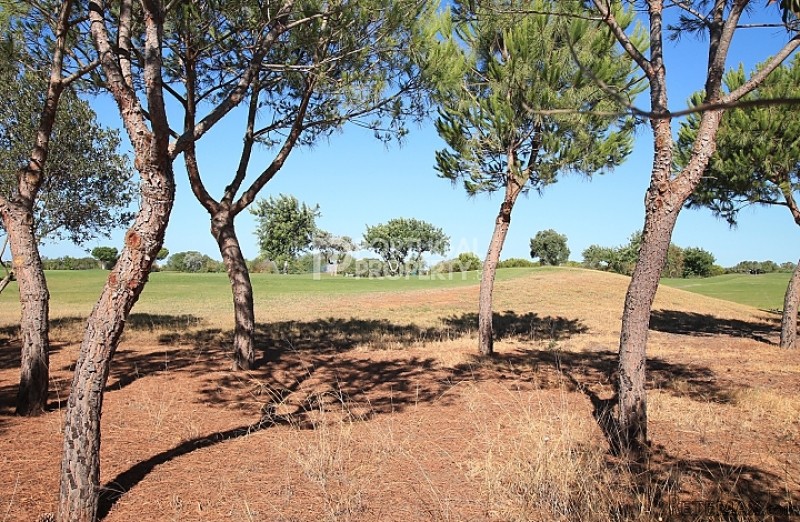 Victoria Golf front plots for.. - 2