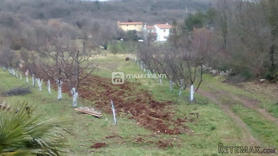 Istra, okolica Labina, imanje od 27.806m2 - 9