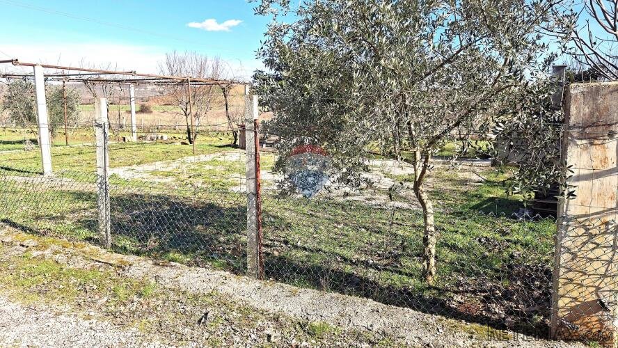 Istra,Umag - poljoprivredno zemljište - 2