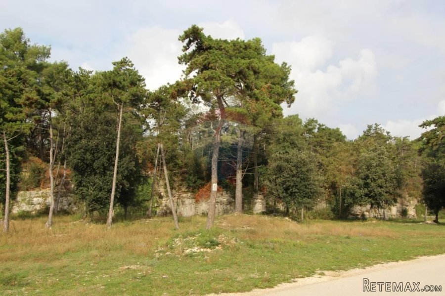 Vabriga, atraktivno građevinsko zemljište - 2