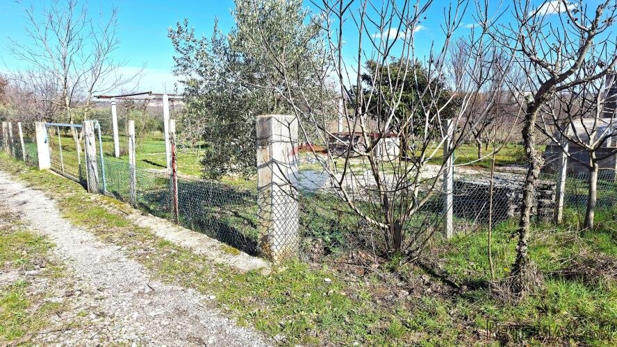 Istra,Umag - poljoprivredno zemljište - 3