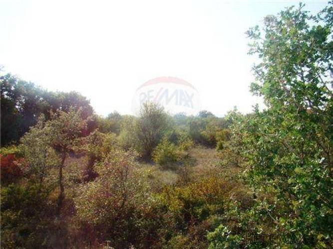 ISTRA, KANFANAR, Građevinska parcela uz asfalt - 5