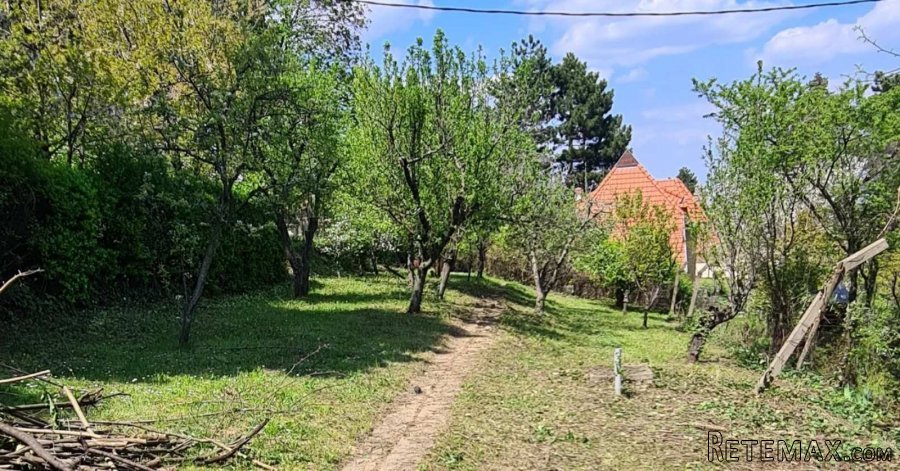 Fruska Gora-Popovica,prodajem vikendicu - 5