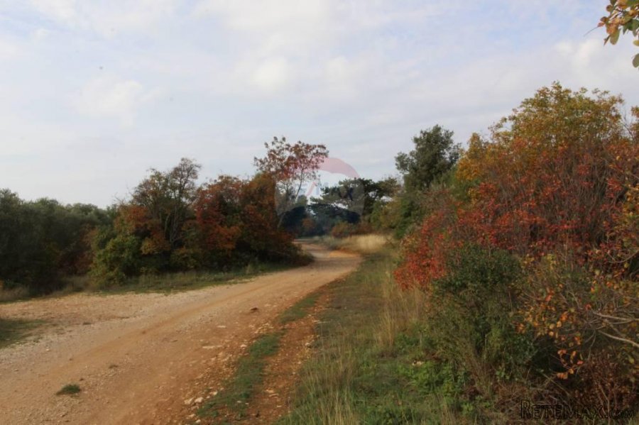 Vabriga, atraktivno građevinsko zemljište - 5