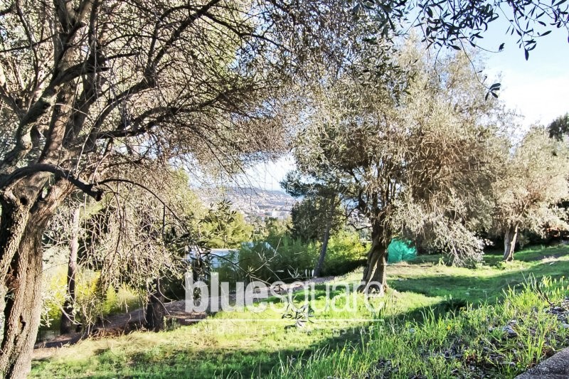 Land with sea view in Nice - Gairaut - 2