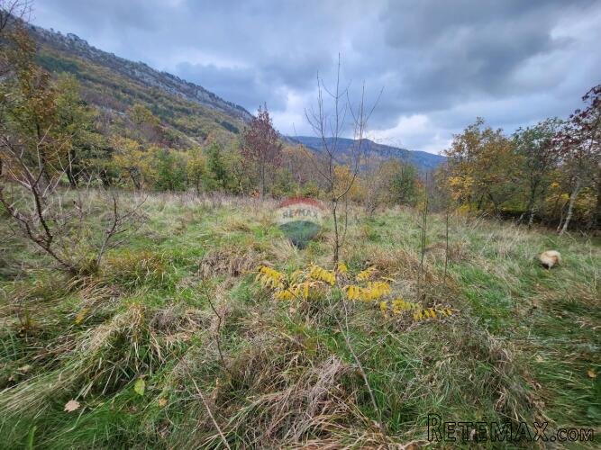 Istra, Buzet, Roč - 4848 m2 građevinsko i negrađevinsko zeml - 3