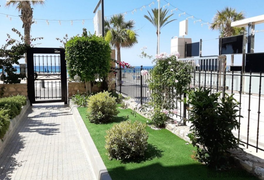 GRAN OPORTUNIDAD! Piso en Benidorm zona Avenida del.. - 4