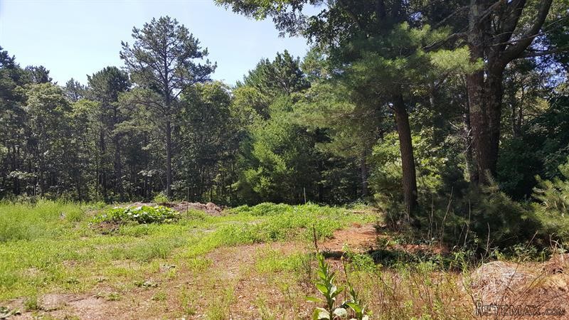 Land For Sale: 147 Peppercorn Lane.. - 2