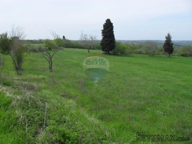 Puntera, građevinsko zemljište 3737m2 uz mogućnost dokupa... - 3