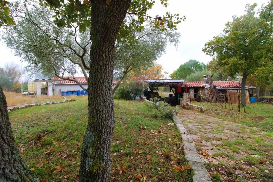 Rovinj,kuća 70m2 na velikoj okućnici-6500m2-za investiciju