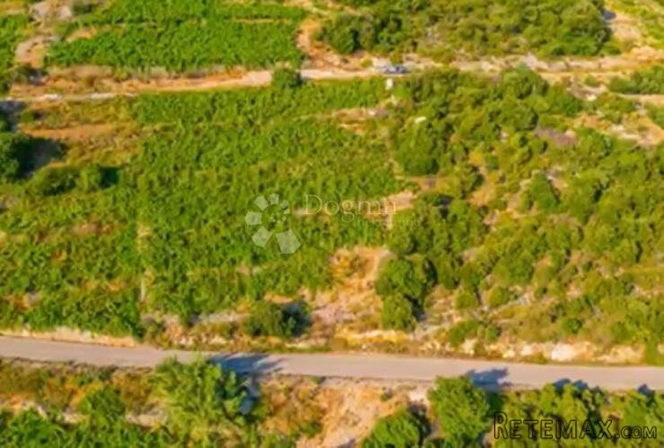 Investicijska prilika - OPG u rajskim vinogradima - 2