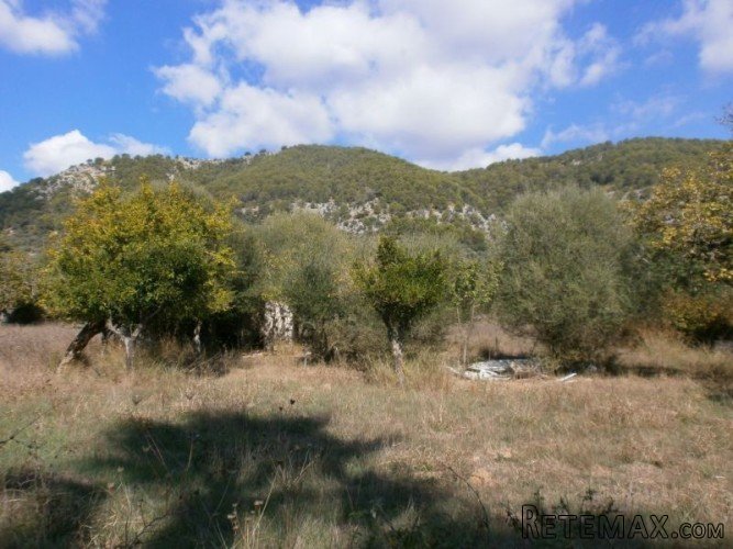 Lovely plot of land with a ruine to be reformed situated on.. - 2