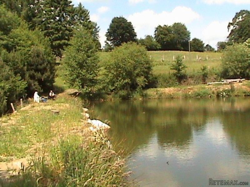 Property - Basse-Normandie - For Sale