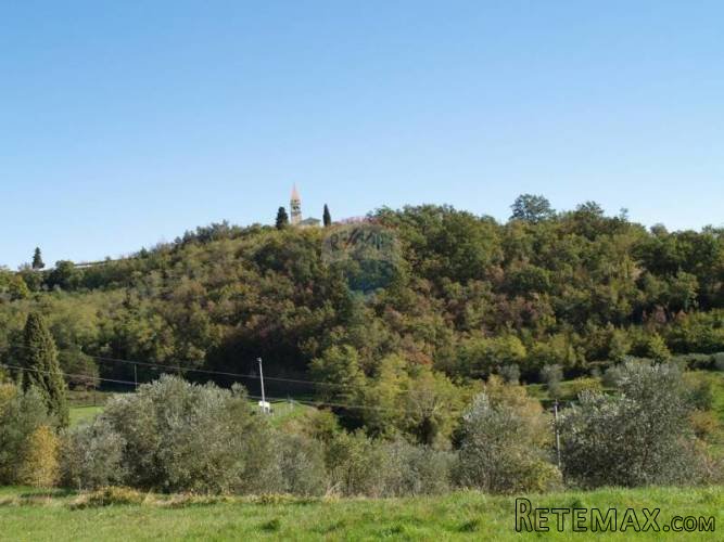 GRAĐEVNA PARCELA U MOMJANU - 3