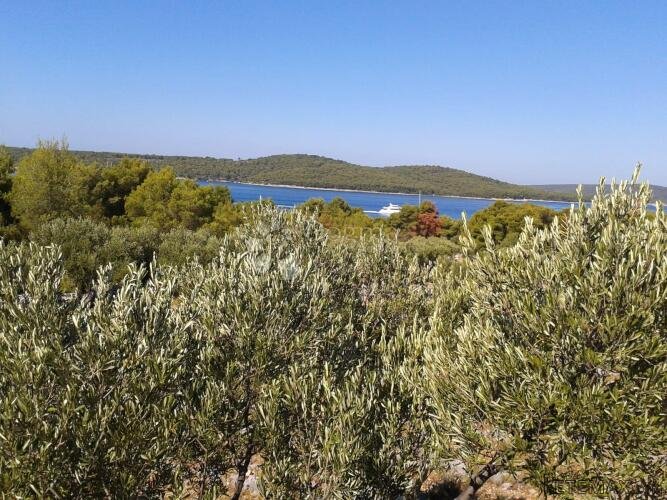 T2 ZONA MILNA, BRAČ 17699m2