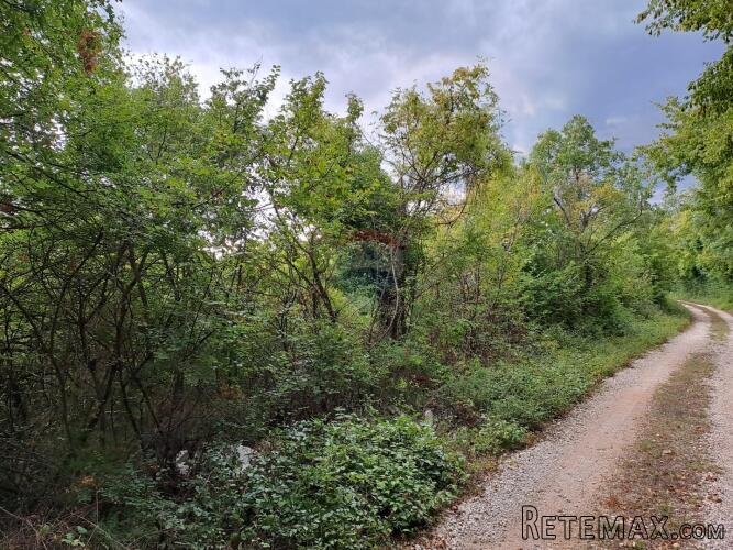 Istra,Korenići 1km od sela,1000m2 - 2
