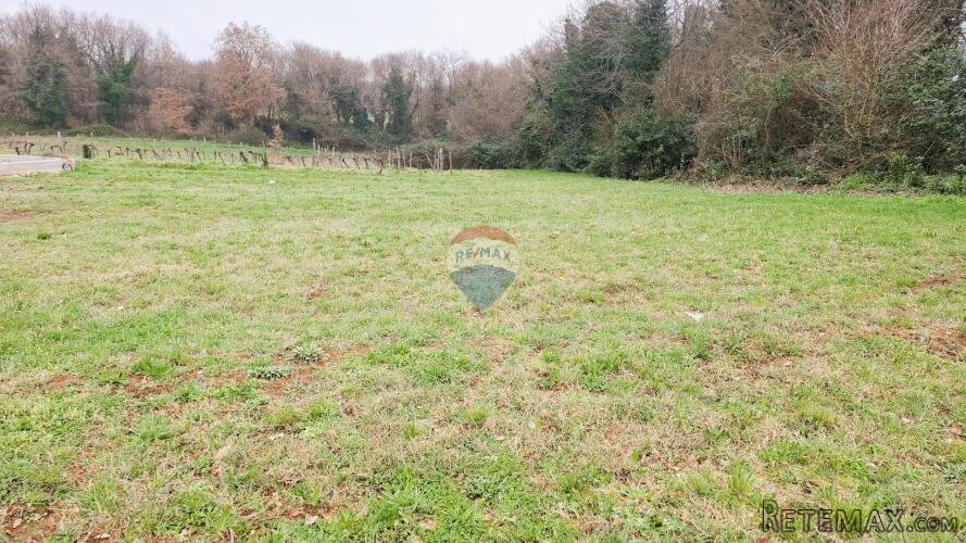 Istra, Brtonigla – Građevinsko zemljište 619 m² - 3