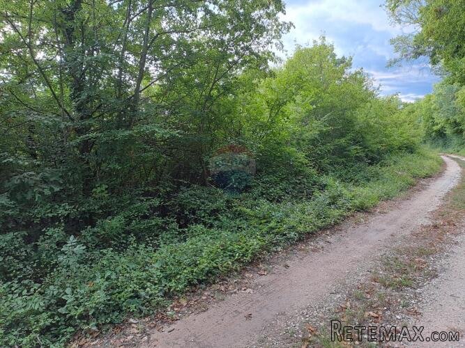 Istra,Korenići 1km od sela,1000m2 - 3