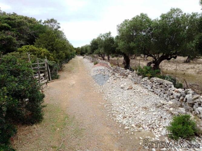 MALI LOŠINJ - ĆUNSKI - građevinski teren sa kućom + negrađev - 4