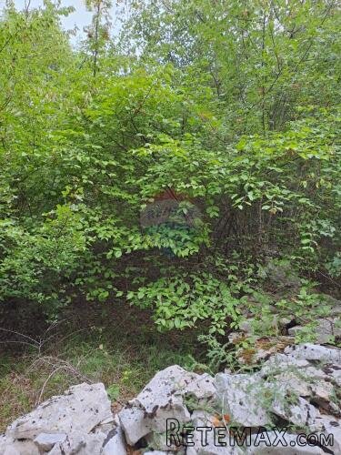 Istra,Korenići 1km od sela,1000m2 - 5