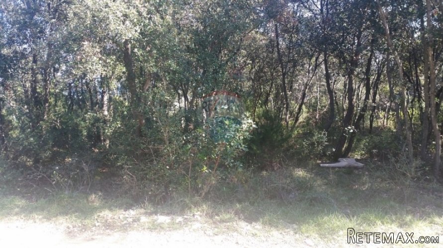 POLJOPRIVREDNO ZEMLJIŠTE 1,5 KM OD MORA!