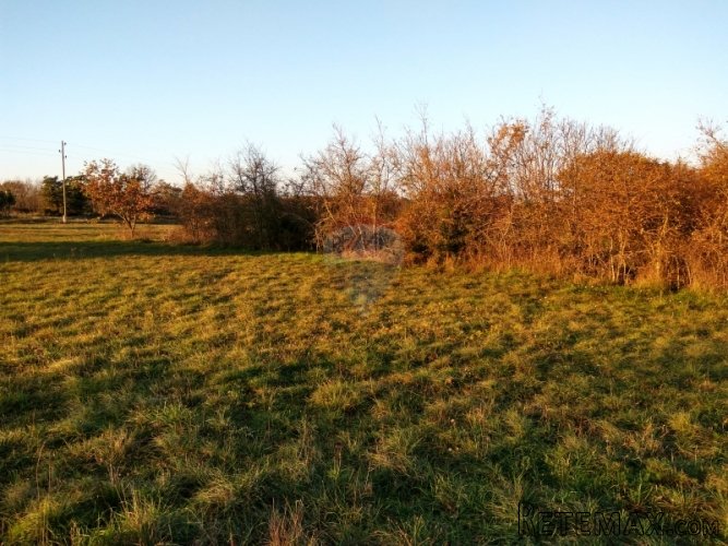 Istra, Marčana- građevinsko zemljište od 1535m2