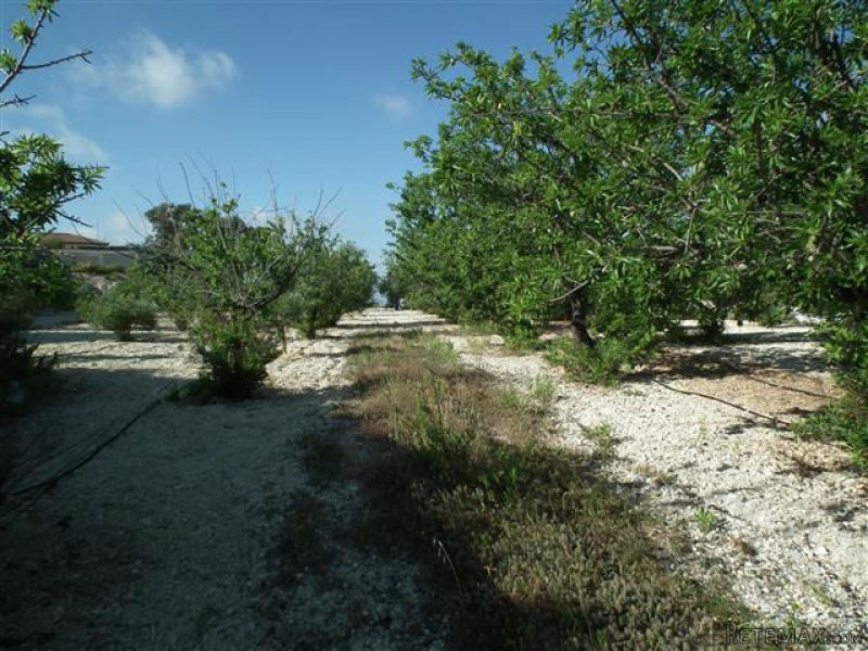 Land - Paphos - For Sale - 2