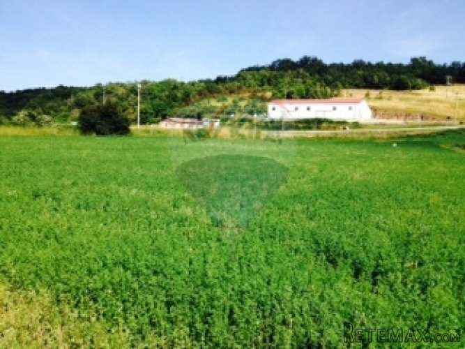 Pazin, Trviž građevinsko stambeno poslovno zemljište - 4