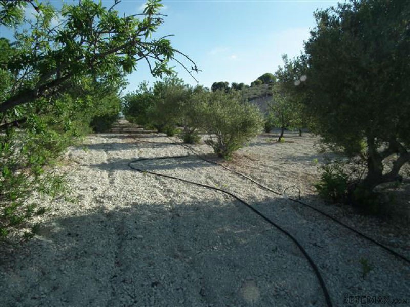 Land - Paphos - For Sale