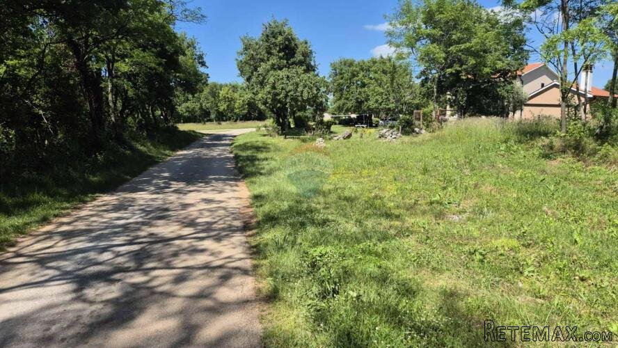 Istra, Šumber okolica isparcelirana građevinska parcela za 8