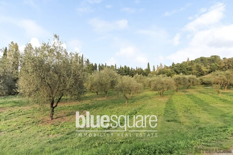 LAND TO BUILD FOR SALE IN MOUGINS - 2
