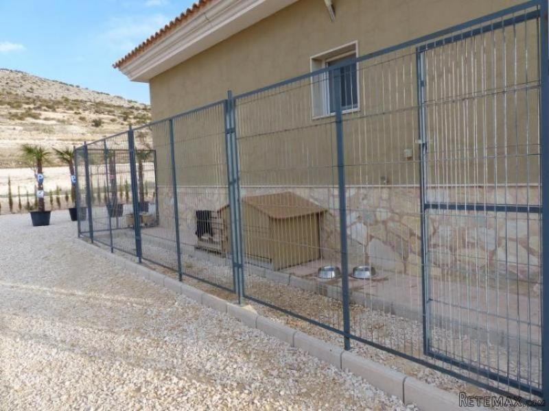 Pinoso Villa with large swimming pool.. - 2