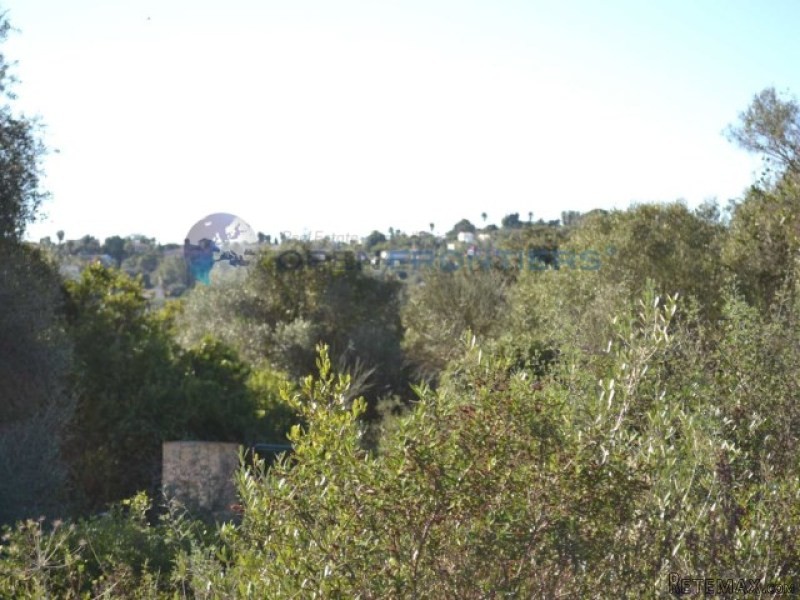 Sotogrande: Los Altos De Valderrama - 2