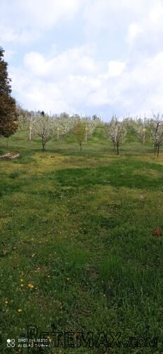 Vikendica Krcedin-Sl.Vinogradi - 14