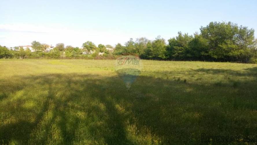 Istra, Barban, poljoprivredno zemljište